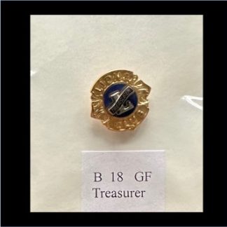 Reversspeld penningmeester 12 mm